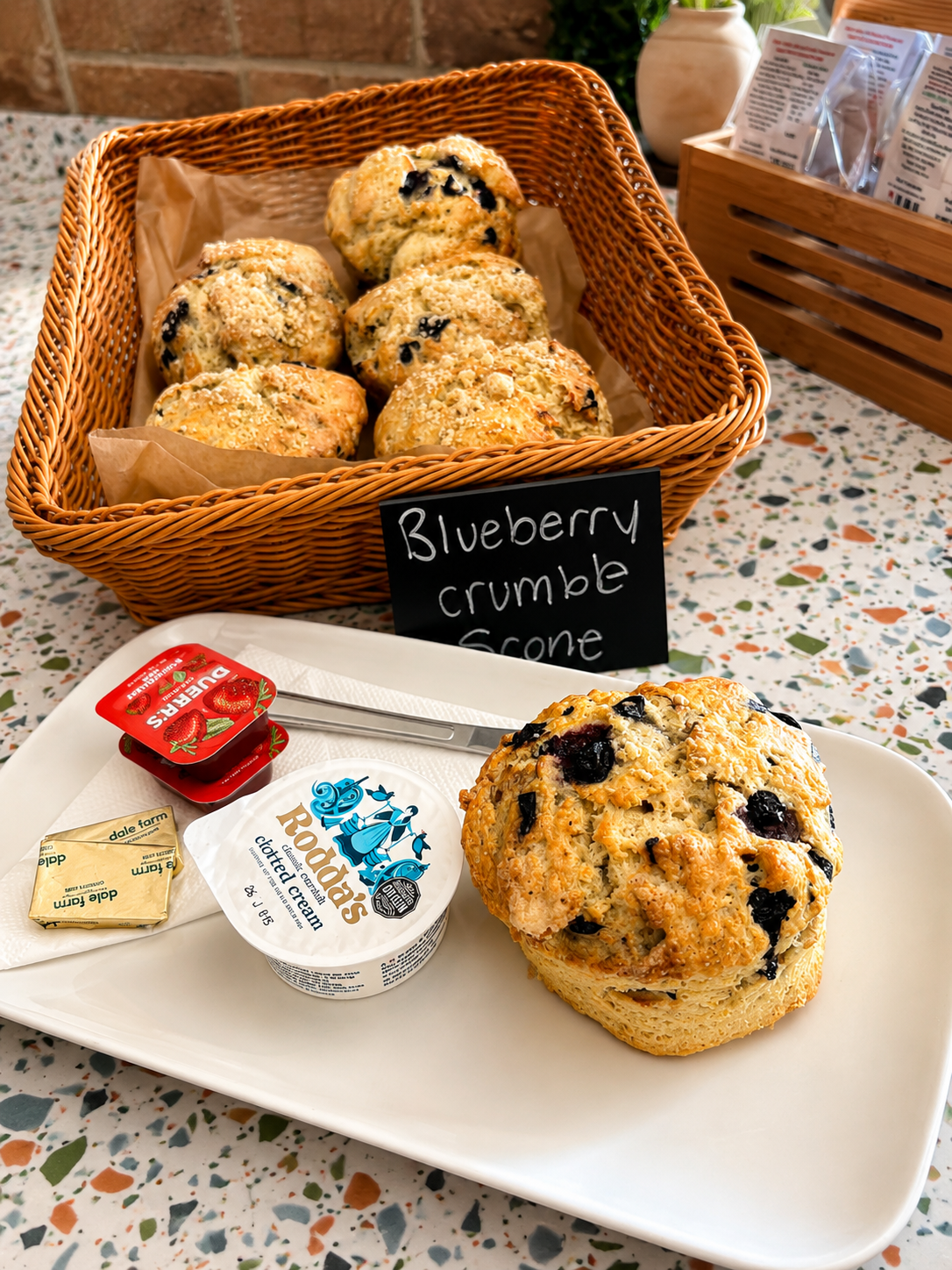 Fresh blueberry scones with clotted cream at Low Tide Coffee House